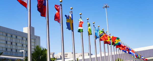 Kultur und sozialer Zusammenhalt